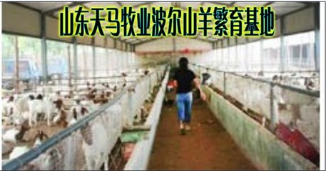 【现在搞什么冷门工厂赚钱?】价格、产品供应,现在搞什么冷门工厂赚钱?厂家批发-1024商务网