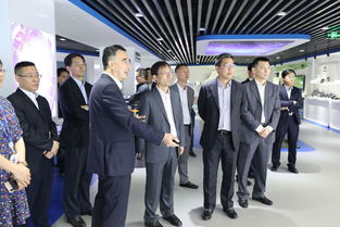 工信部副部长王志军一行莅临天马调研指导