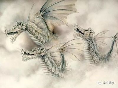 汗血宝马的独特跑姿与天马传说